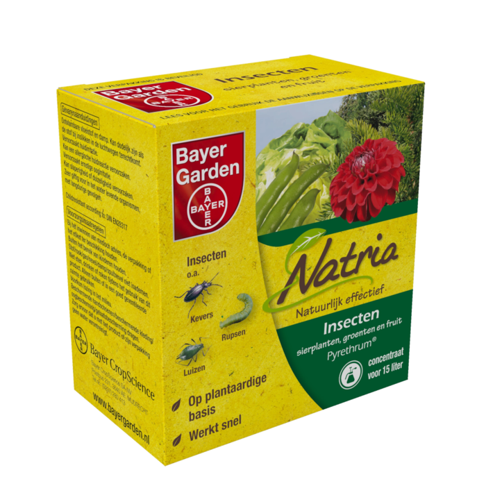 Bayer Bayer Pyrethrum - 30ml