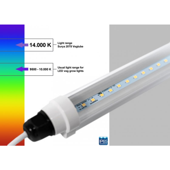 Surya Surya 13 T8 Vegtube 90cm - Stand Alone or Daisy Chain