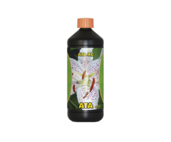 Atami Atami Ata XL