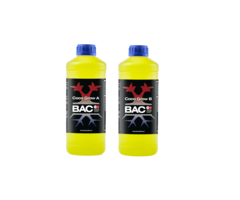 BAC BAC Cocos Groei A+B