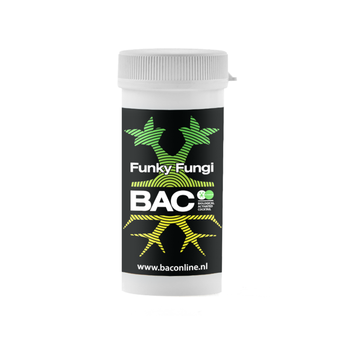 BAC BAC Funky Fungi ~ Mycorrhiza Schimmels