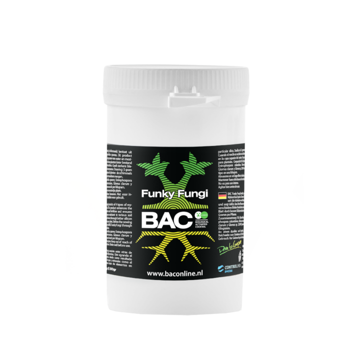 BAC BAC Funky Fungi ~ Mycorrhiza Schimmels