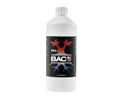 BAC BAC PH+