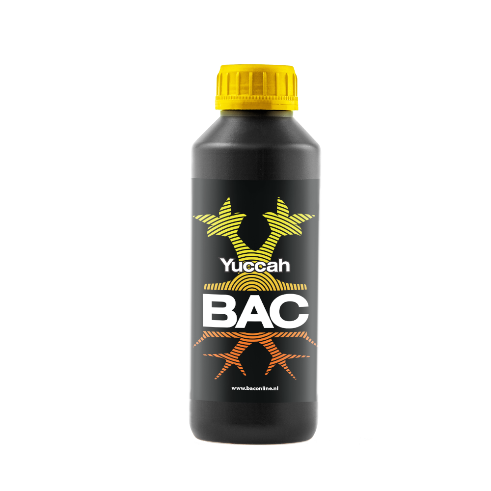 BAC BAC Yuccah afbeelding