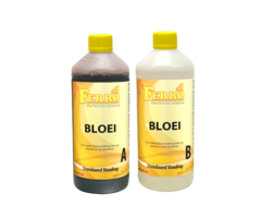 Ferro Ferro Standaard Bloei