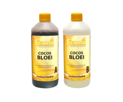 Ferro Ferro Standard Cocos Bloom
