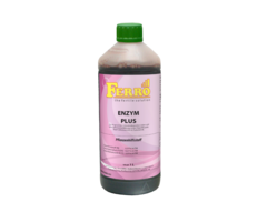 Ferro Ferro Enzym plus