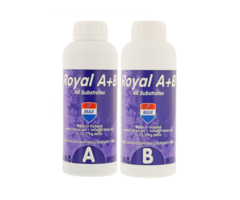 F-Max F-Max Royal