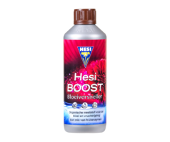 Hesi Hesi Boost