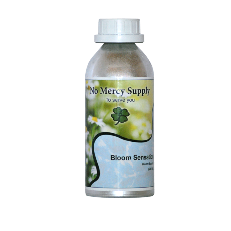 No Mercy Supply No Mercy Supply | Bloom Sensation afbeelding