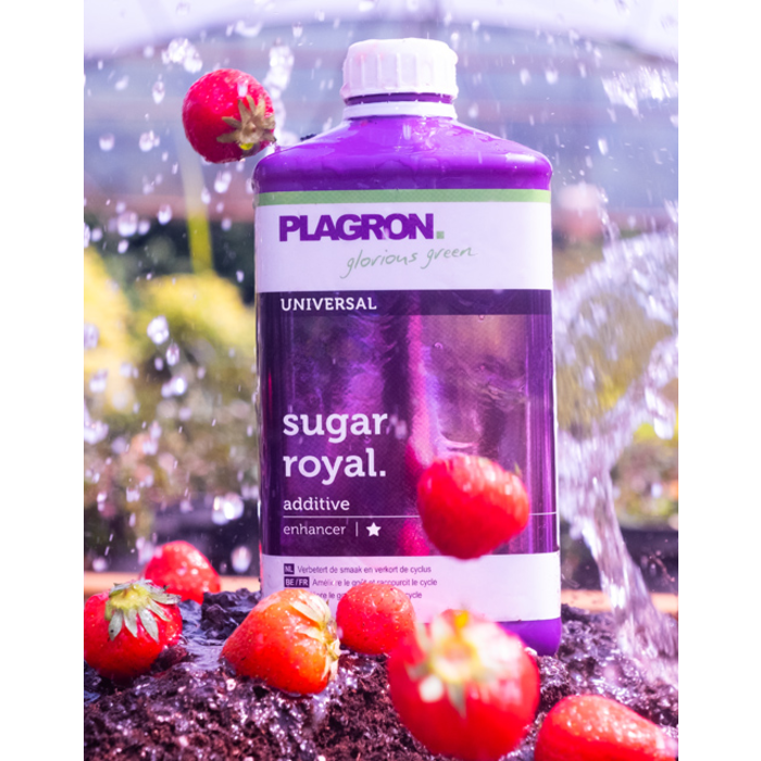 Plagron Plagron Sugar Royal | Plant nutrition additive