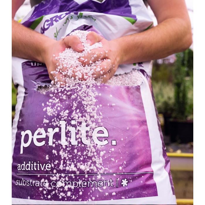 Plagron Plagron Perlite | Substrate soil improver