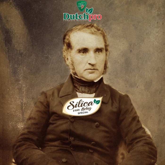 Dutch Pro Dutch Pro Silica - von Liebig's Special ~ Increase of Yield & Strength