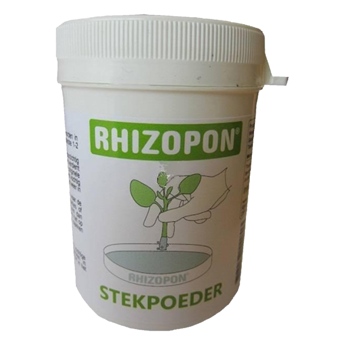 Rhizopon Rhizopon Cutting powder - 25gr or 80gr