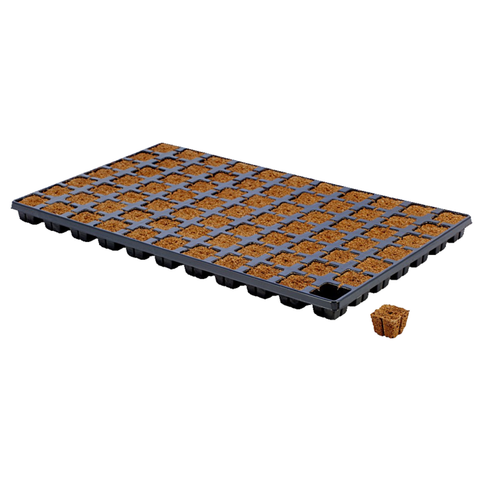 Eazyplug Eazy plug | Stekken plug tray CT - 6 / 12 / 24 / 77 / 104 / 150 stuks