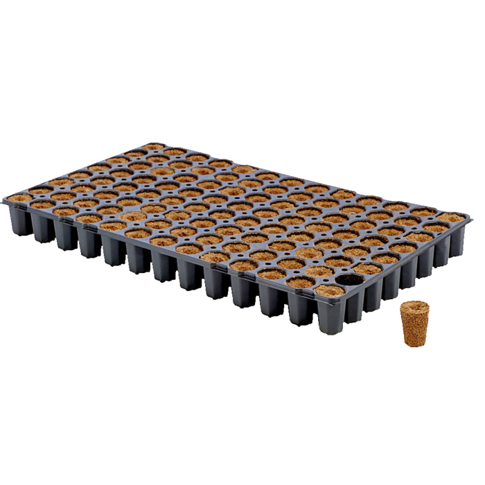 Eazyplug Eazy plug | Stekken plug tray CT - 6 / 12 / 24 / 77 / 104 / 150 stuks