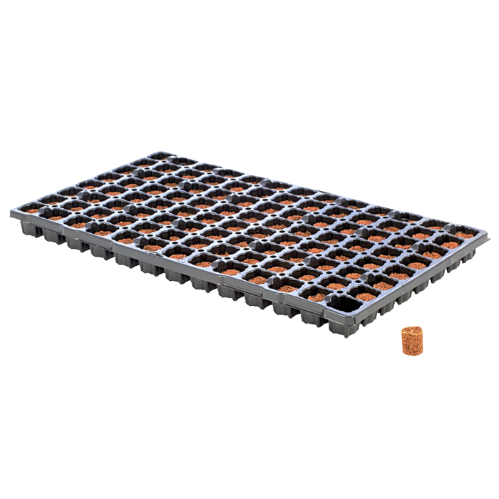 Eazyplug Eazy plug | Stekken plug tray CT - 6 / 12 / 24 / 77 / 104 / 150 stuks