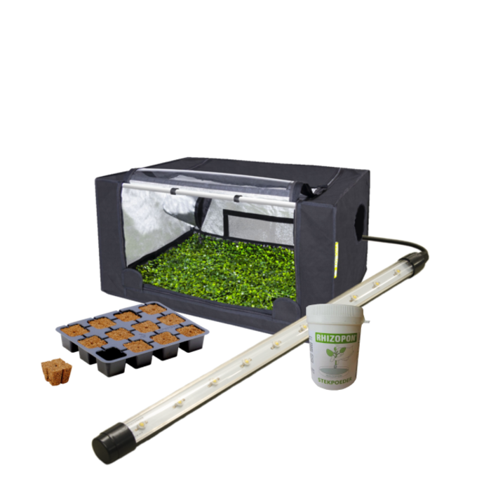 Garden HighPro Complete growtent - Garden Highpro Probox Propagator - S/M/L/XL