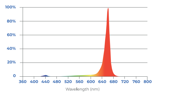 toplighting-fixture-r/w-lb-spectrum
