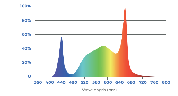 Toplighting-fixture-indoor-white-spectrum