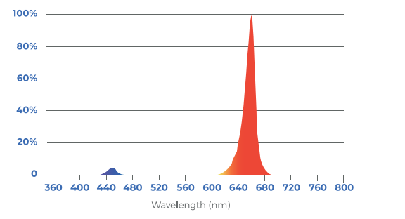 Toplighting-fixture-R/B-LB Spectrum