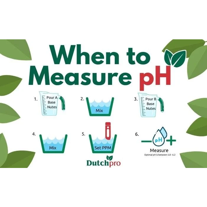 Dutch Pro Dutch Pro PH Plus - PH Regulator