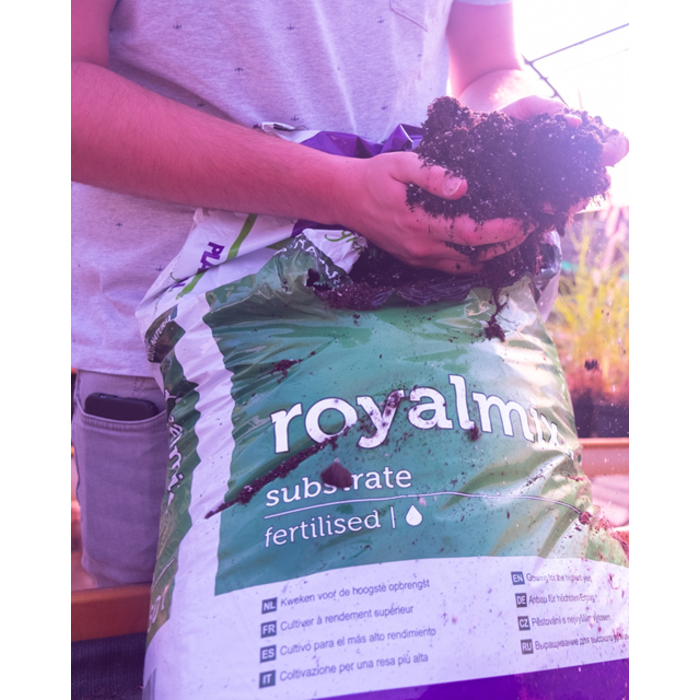 Plagron Plagron Royalmix | Substraat