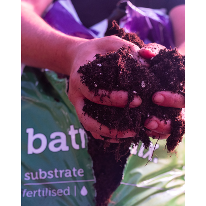 Plagron Plagron Batmix - Substrate