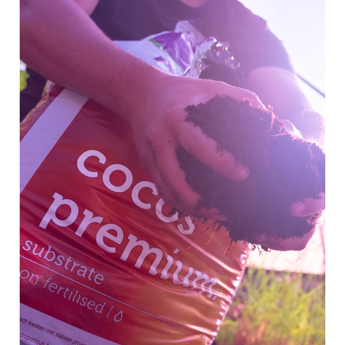 Plagron Plagron Cocos Premium - Substraat