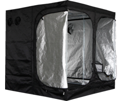 Mammoth Mammoth Classic+ 200 - 200x200x200cm