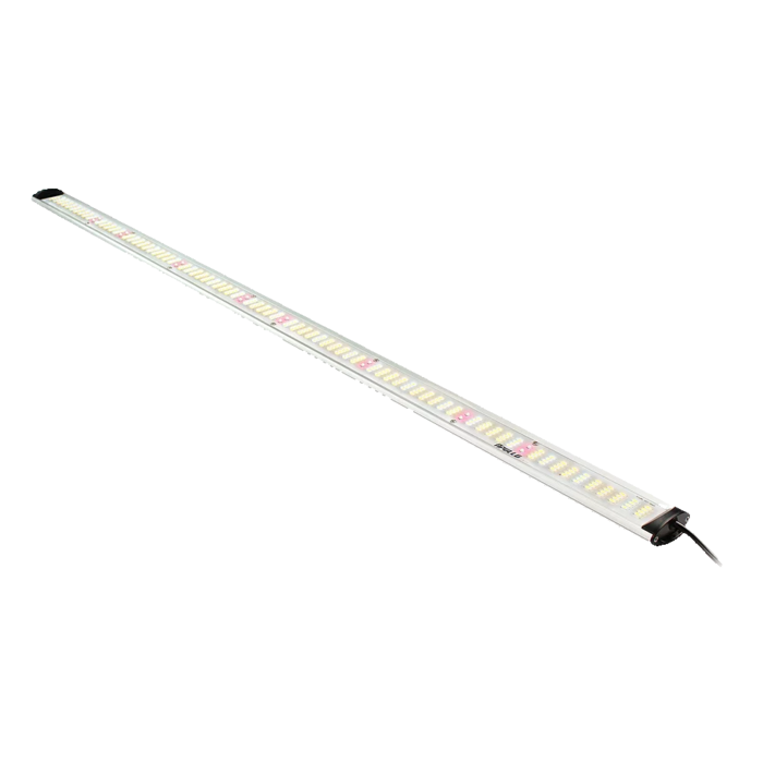 Apollo Apollo LED Falcon - 60 & 115 (Standaard & PRO)