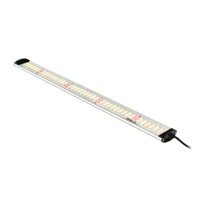 Apollo Apollo LED Falcon - 60 & 115 (Standaard & PRO)