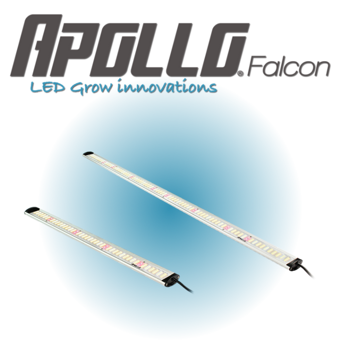 Apollo Apollo LED Falcon - 60 & 115 (Standaard & PRO)