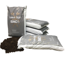 BAC BAC Lava aarde