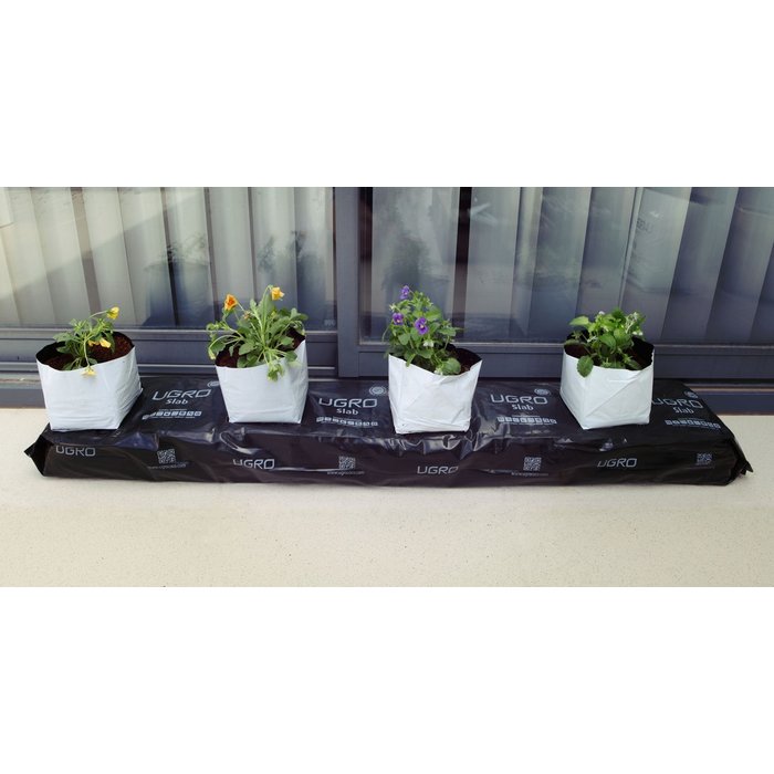 UGro UGro Cube - Standard / RHIZA ~ Substrate