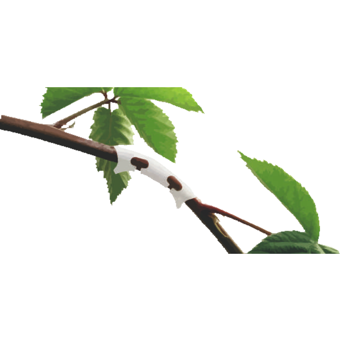 Gronest Gronest bending clips - 25 pieces