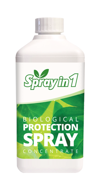 Woma Spray in 1 - 500ml