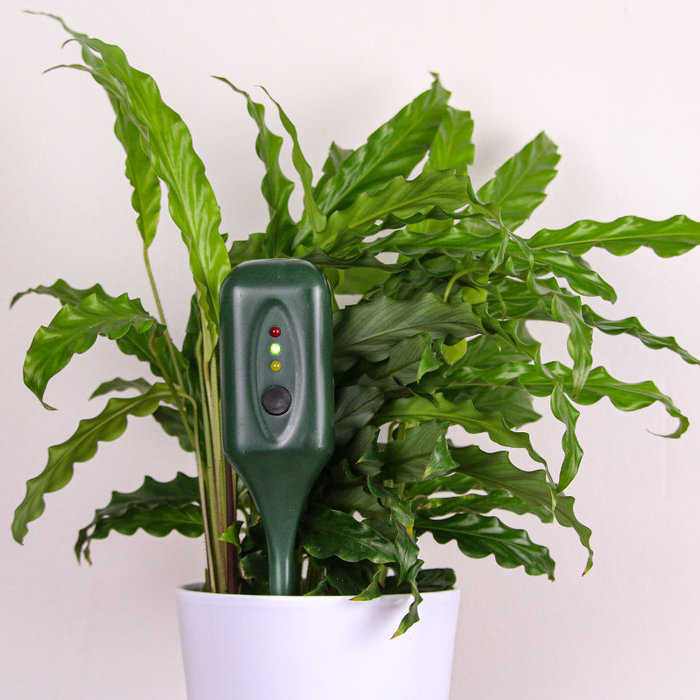 Fertometer fertilization meter
