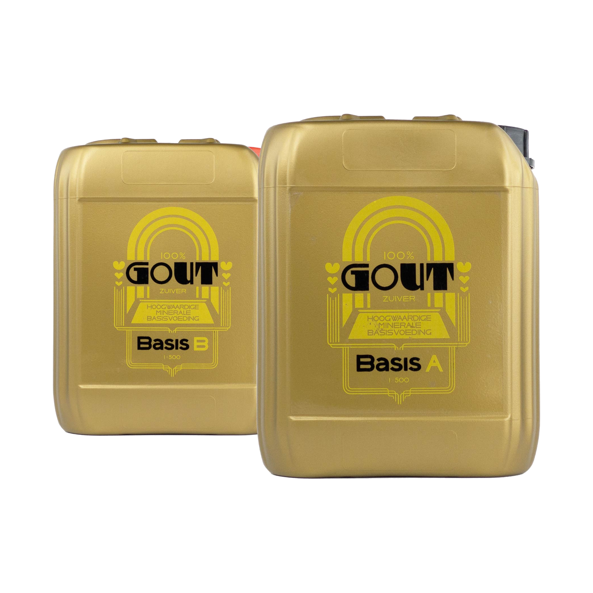 Gout Gout Basis afbeelding