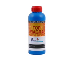 Geni Geni Top Viagra