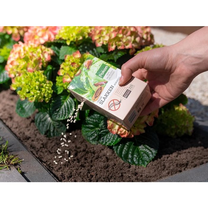 Pokon Pokon Bio Against snails granules
