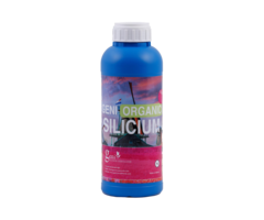 Geni Geni Silicium