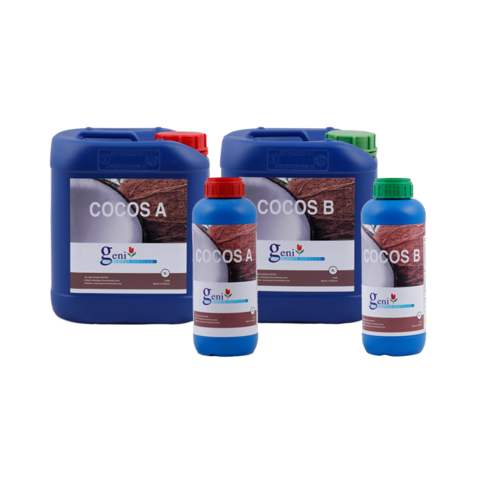 Geni Geni Coco A&B ~ Basic Nutrition