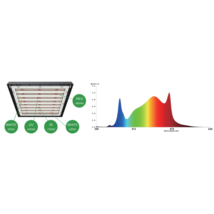 4Twenty 4Twenty (420) LED System