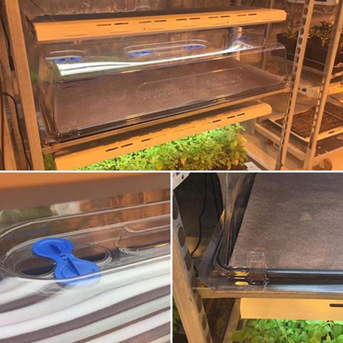 Autopot AutoPot Easy2Propagate ~ Pre-growth System