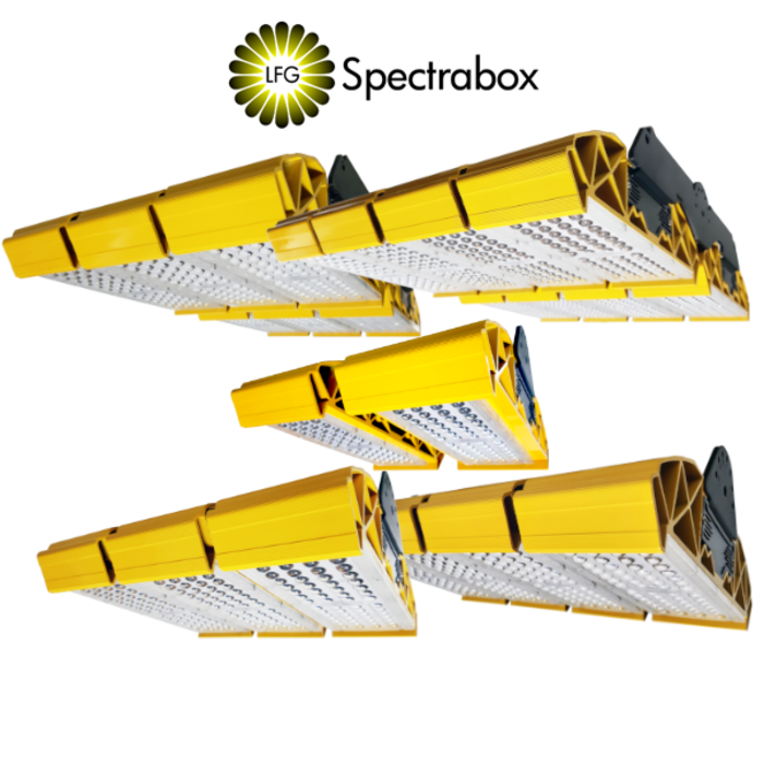 Spectrabox Spectrabox BB (Bumble Bee) LED ~ 200W / 300W / 400W / 600W / 800W