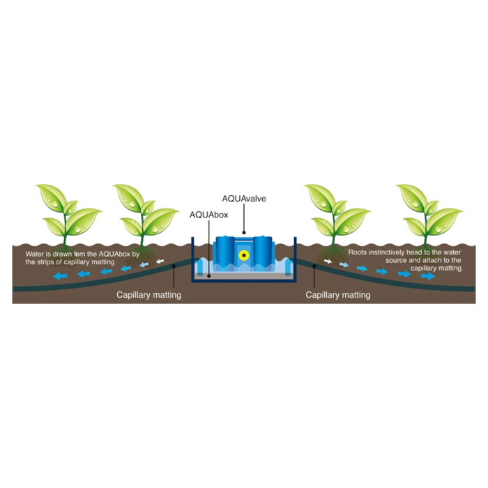 Autopot AutoPot AQUAbox Spyder ~ Growing System