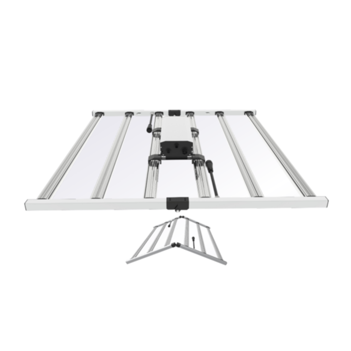 Spectro Light Spectro Light | MPH Spider