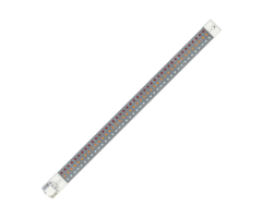 Secret Jardin Secret Jardin Cosmorrow LED Bloei