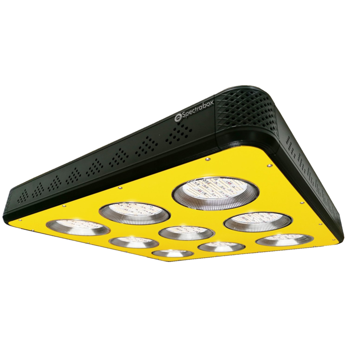 Spectrabox Spectrabox XTReme 2 LED